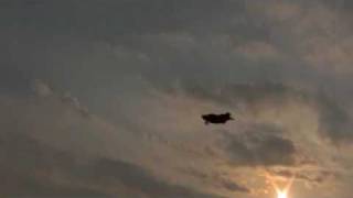 My New Backyard Flying Disk