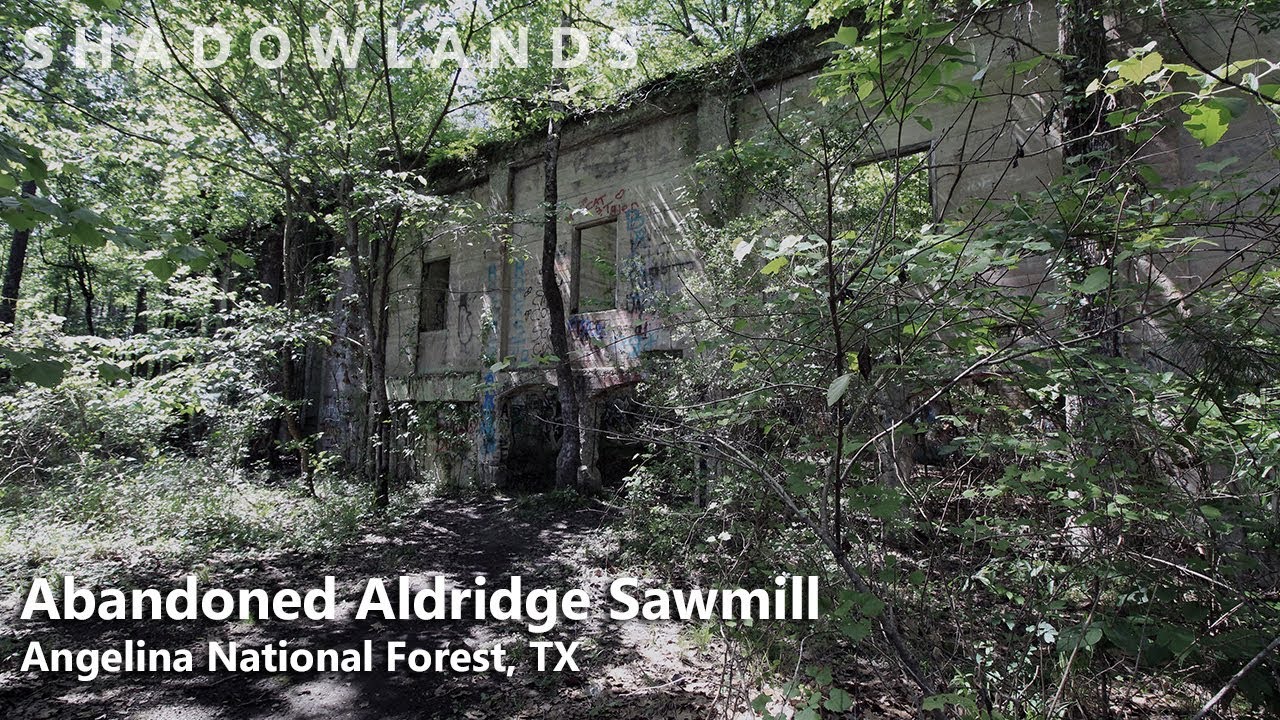 Abandoned Aldridge Sawmill, Angelina National Forest Shadowlands