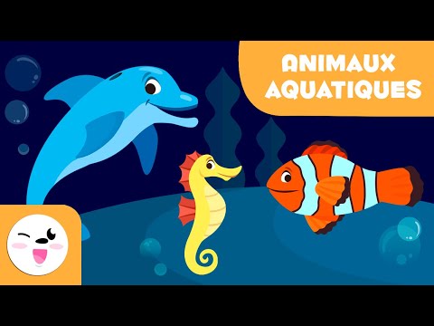Les animaux aquatiques pour enfants-Vocabulaire pour les enfants