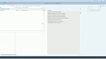 49. SAP GRC - ARA - Risk Terminator - Configuration Parameters