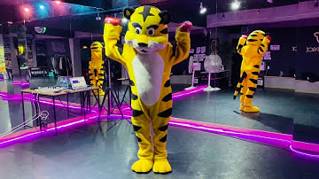 오늘의 락킹 TODAY