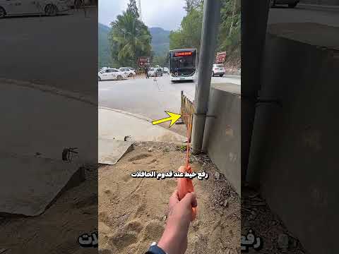 وظيفة بسيطة راتب عالي