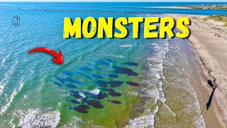 Fisherman Tossed This at a Monster School of Fish and Caught THIS!!