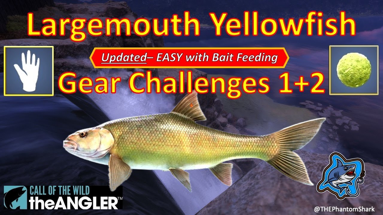 ОБНОВЛЕННЫЕ НОВЫЕ задания по ловле желтохвостого окуня (Largemouth Yellowfish Gear Challenges 1+2...