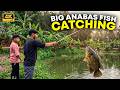 Hook Fishing in Village Pond | Catching Fish Traditional Way 🎣 | Rural Fishing Documentary