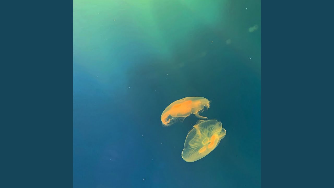 Watch Float on YouTube Watch Float on YouTube