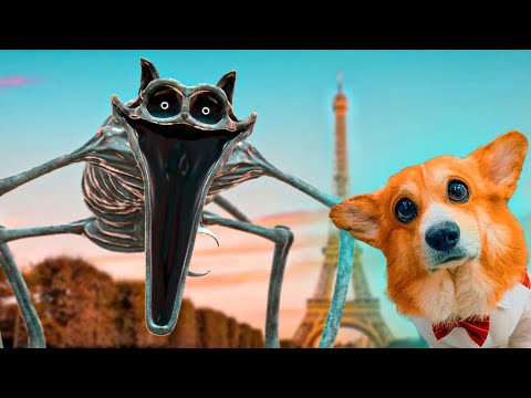 КОТ ДРЕМОТ ЕХЕ. БИТВА В ПАРИЖЕ!! (Корги Коржик) Говорящая коварная собака