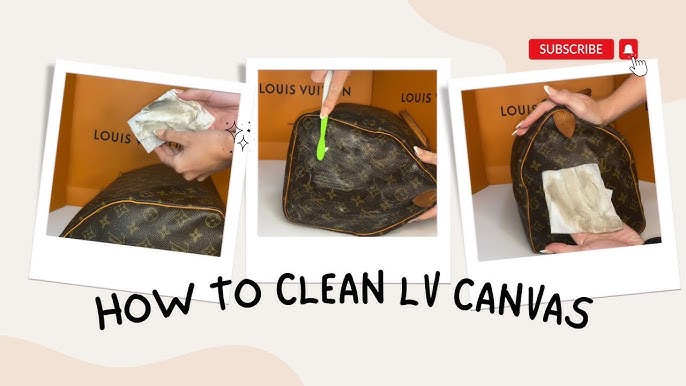 Easy Way to Clean & Protect Louis Vuitton Canvas bags