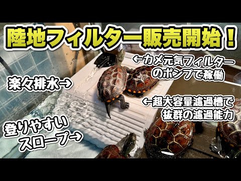 石亀様 リクエスト 5点 まとめ商品 TOKYO CULTUART by BEAMS（トーキョー カルチャート by ビームス