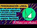 Programación Lineal: Función Objetivo, Restricciones y Región Factible