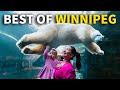 Exploring winnipeg manitobas best top things to do in canadas friendliest city