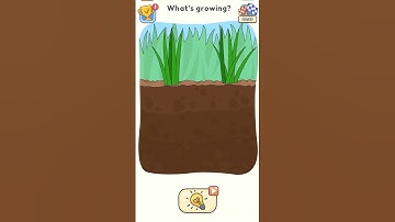 Gameplay dop5 android/ios