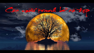 Tranh 3D cho bể cá các mẫu mới dành cho các loại cá