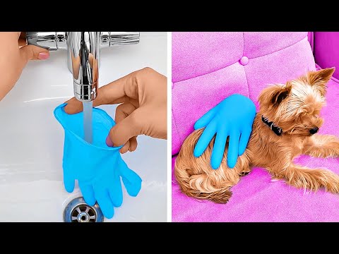 Wideo: Proste sztuczki ułatwiające i przyspieszające czas kąpieli psa