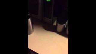 YETI Rambler In The Microwave