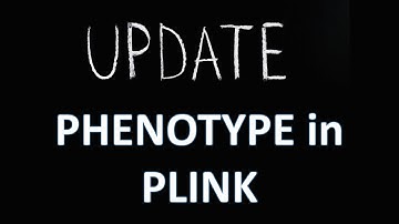 Update the phenotype column in PLINK