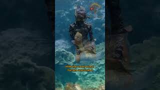 The SHOCKING Truth About Moray Eels Nobody Tells You