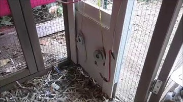 Raspberry Pi Controlled Chicken Coop Door