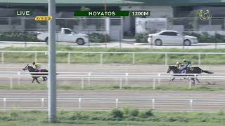 BT1 NOVATOS 1200m JULY 17 2026