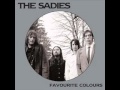 Video thumbnail for The Sadies - "Why Be So Curious? (Part 3)"
