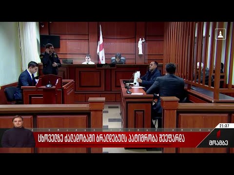 ცხოველზე ძალადობაში ბრალდებულს პატიმრობა შეეფარდა