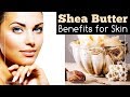 Shea Butter Benefits for Skin - YouTube