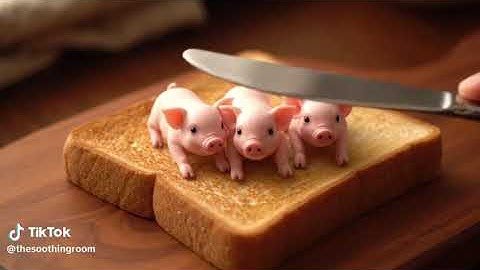 Toast Spread Pets AI ASMR #asmr #trending #asmrvideo #ai #satisfying #asmrcommunity #food