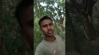 Short Video Ncndjg V2 Vlog