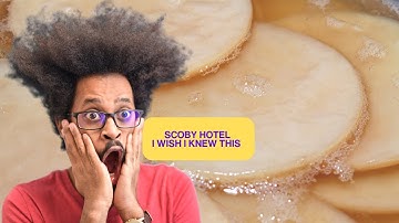 SCOBY Hotel  5 Things I wish I Knew Before Starting One