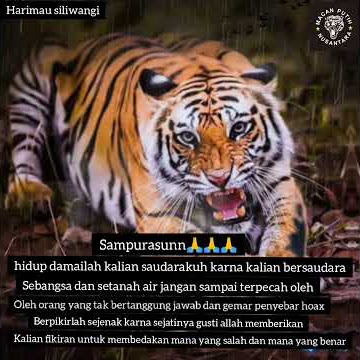 Story wa pesan leluhur aki maung  siliwangi terbaru 2021 🙏🙏