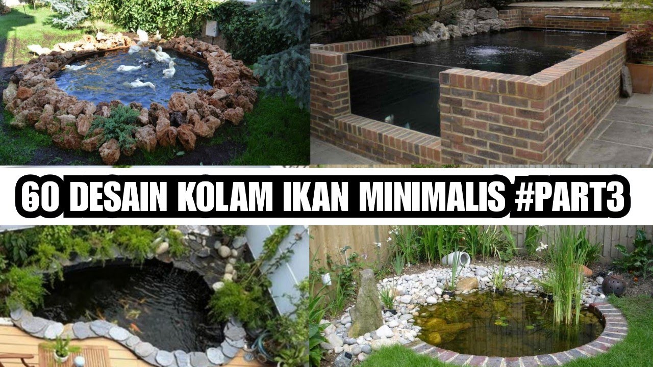 60 Desain Kolam Ikan Minimalis Part3 YouTube