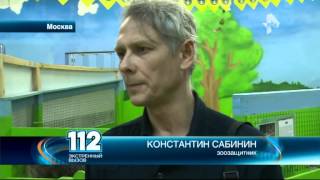 Зоозащитники требуют изъять краснокнижных животных из частного контактного зоопарка в одном из ТЦ Зоозащитники требуют изъять краснокнижных животных из частного контактного зоопарка в одном из ТЦ