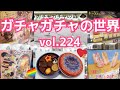 もりしぃのガチャガチャの世界vol.224【ガチャガチャ】