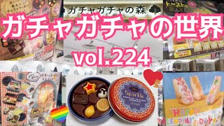 もりしぃのガチャガチャの世界vol.224【ガチャガチャ】