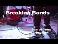 Sea of Bees - Wizbot (Live) - Breaking Bands