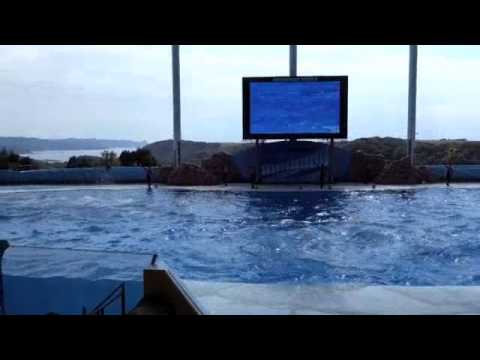 2014年アドベンチャーワールド