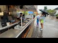 Rockford's Start of Summer Festival expected to draw over 50,000 visitors