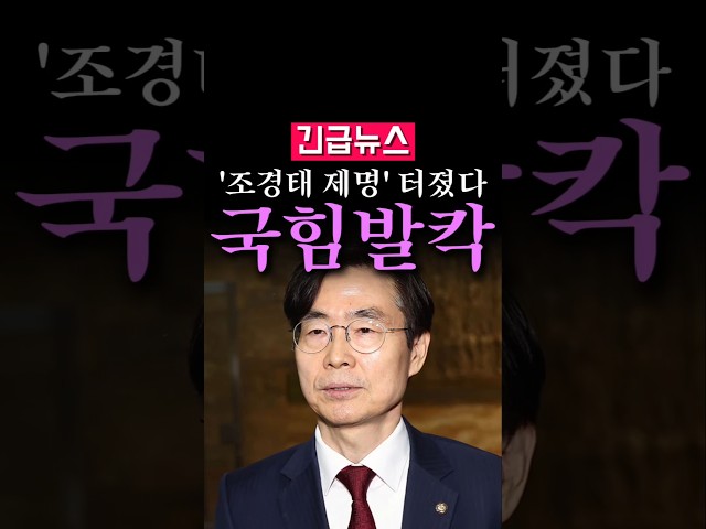 (속보) '조경태 제명' 징계 요청 터졌다, 국힘 발칵...
