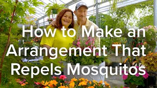 How To Make An Arrangement That Repels Mosquitos - Let's Grow Together