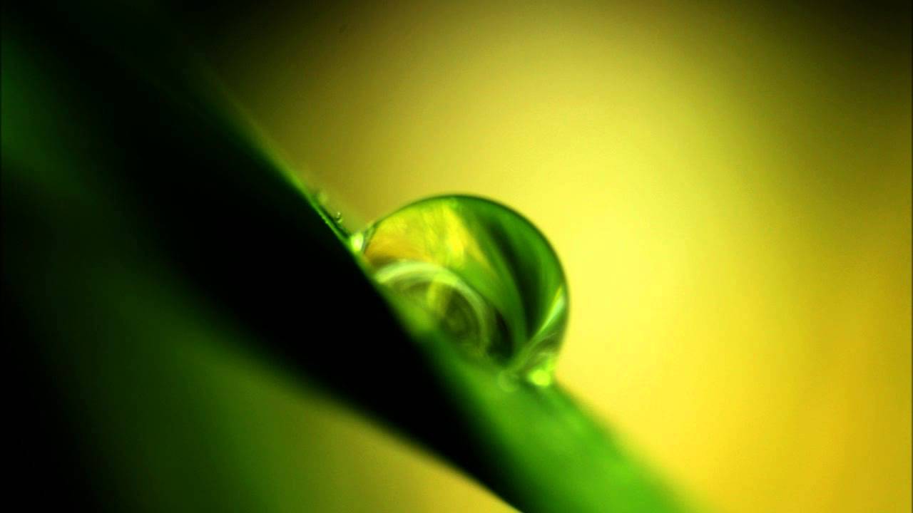 سورة الأنبياء بصوت الشيخ جزاع الصويلح تلاوة رائعة جداً