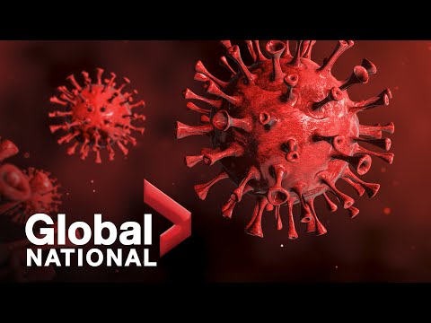 Global National: Nov. 30, 2021 | More travel restrictions as Omicron raises vaccine questions