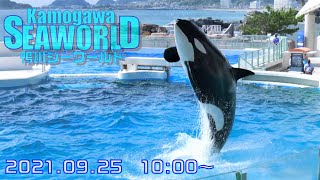 ◆鴨川シーワールド　シャチパフォーマンス（2021．09．25）10：00~ ◆【4K60P】