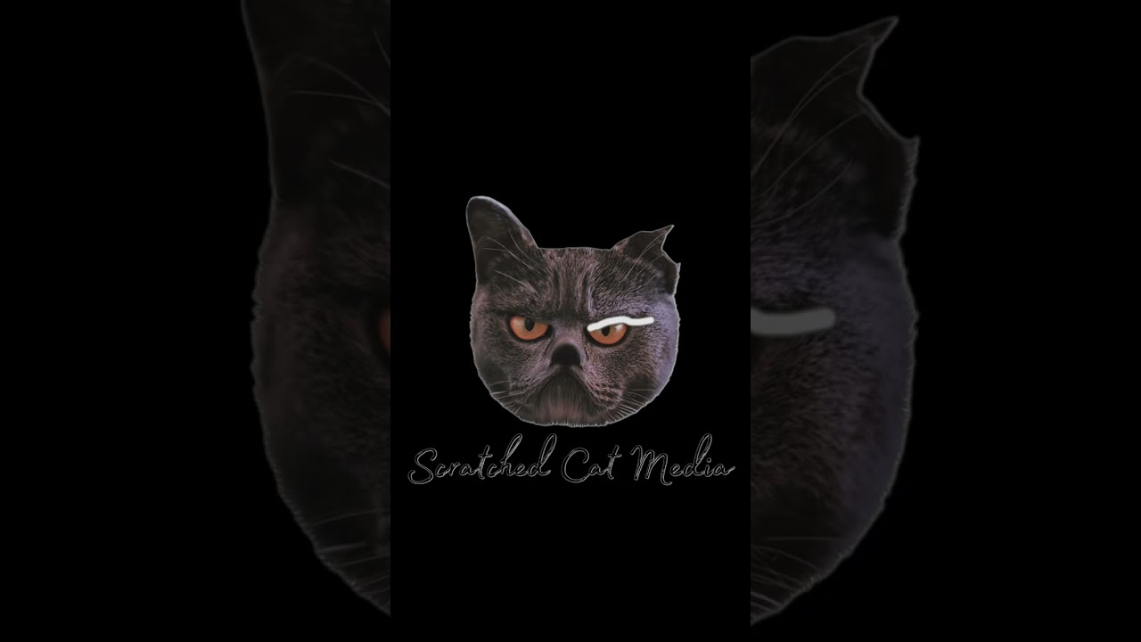 Scratch Cat By-line