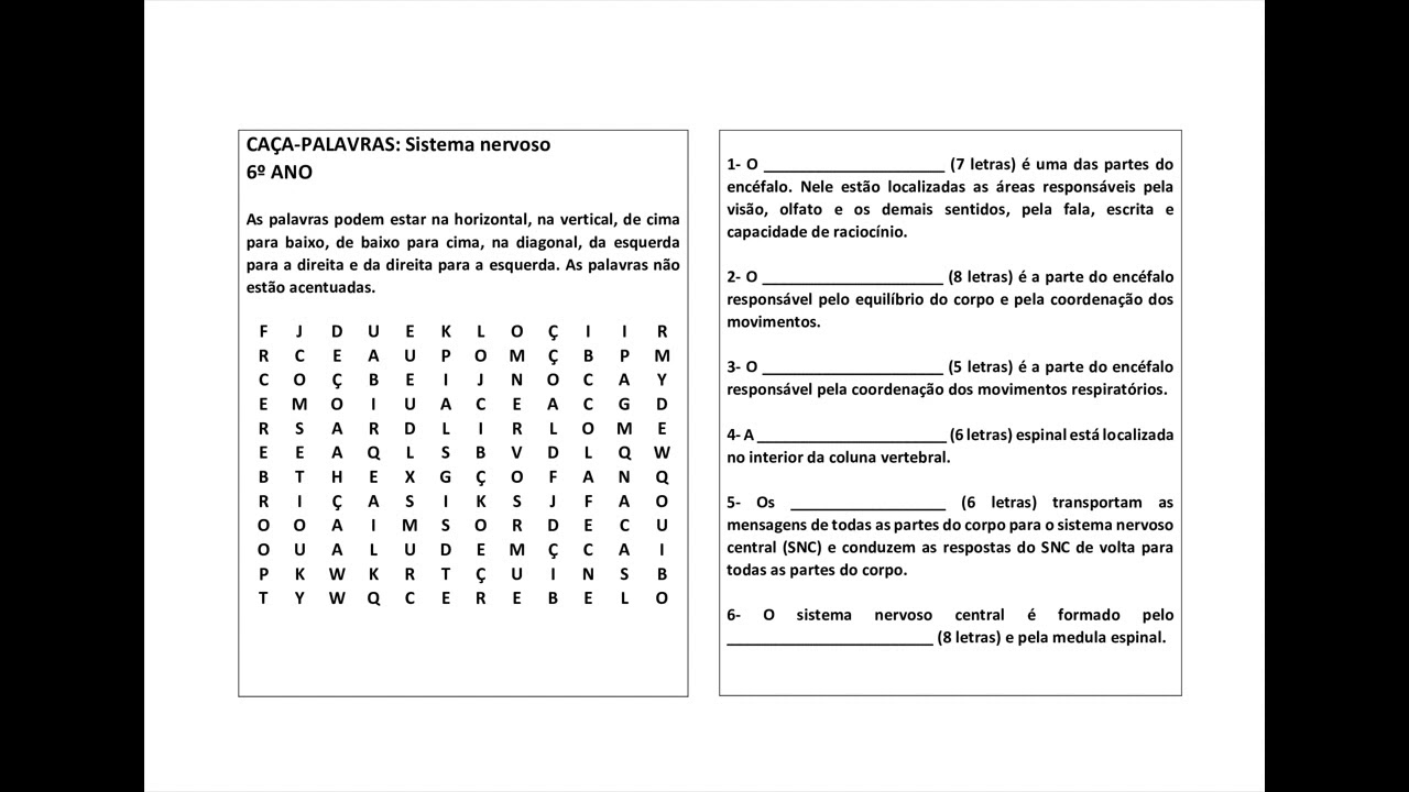 Caça-palavras: Corpo Humano - Sistema Nervoso - COM RESPOSTAS 