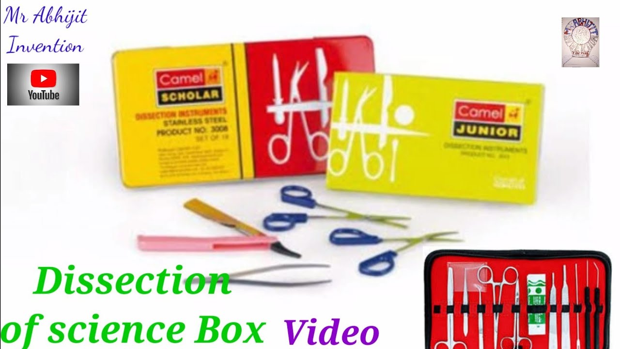 What is the inside of the Science instruments Box Dissection Box