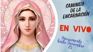 #Caminata de la #Encarnación, 1 Noviembre 2022. Solemnidad de todos los #santos