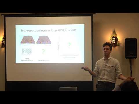 Vidéo: Une étude D'association à L'échelle Du Génome Révèle Que Différentes Voies Contribuent à La Variation De La Qualité Des Grains Dans Le Sorgho (Sorghum Bicolor)