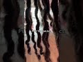 WHAT ITS LIKE HAVING LOCS EVERYDAY #wavvvy #locjourney