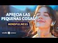 🎧MEDITACIÓN GUIADA | HAZ ESTO para APRECIAR las pequeñas cosas de cada día -Mindfulness💙