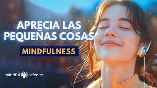 🎧MEDITACIÓN GUIADA | HAZ ESTO para APRECIAR las pequeñas cosas de cada día -Mindfulness💙